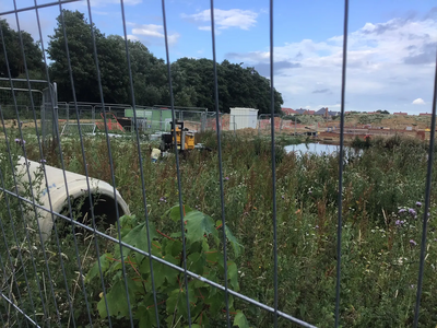 polluted pond in the new Cuckoo Meadow housing development, Hailsham, July 2020 - photo by Neil Cleaver
