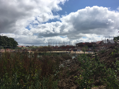 Cuckoo Meadow development, Hailsham - July 3rd 2020 - photo by Katrina Best