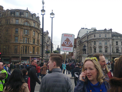 Photo by Lois Norton BrexShit sign using smiling poo emoji