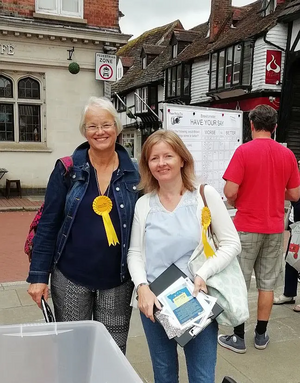 Members of Wealden LibDems at the pro EU stand in  East Grinstead