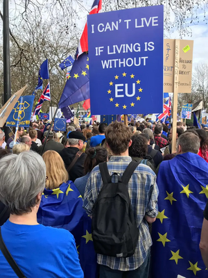 Photo by Elizabeth Drury Can't Live If Living Is Without EU sign