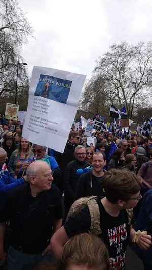 Photo by Su Collins Sussex For Europe and Wealden LibDems in the People's Vote March crowds