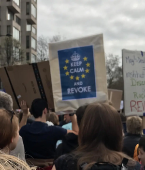 Photo by Elizabeth Drury Keep Calm & Revoke